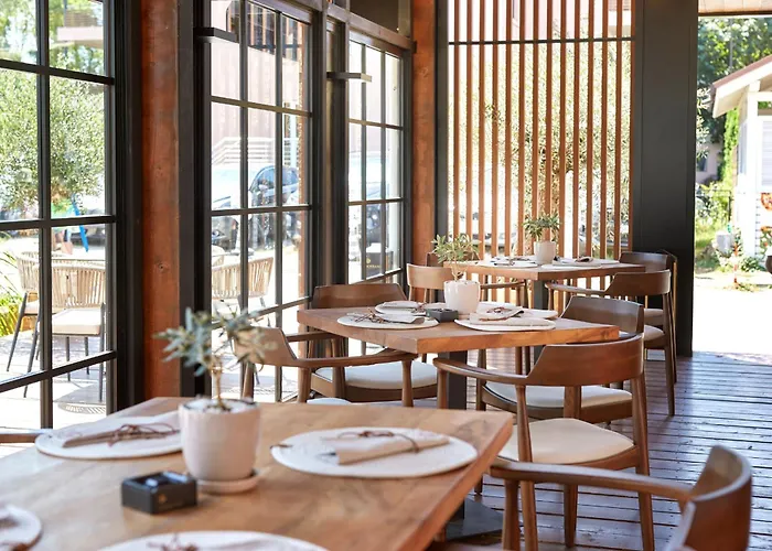 Nobel Ultra - Free Access Napospart